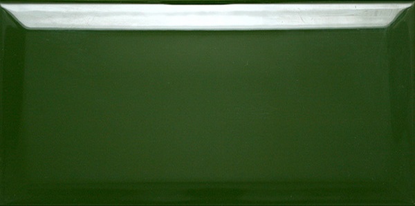Керамическая плитка Dar Ceramics Biselado Botella Brillo, цвет зелёный, поверхность глянцевая, кабанчик, 100x200
