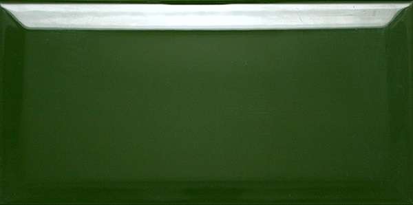 Керамическая плитка Dar Ceramics Biselado Botella Brillo, цвет зелёный, поверхность глянцевая, кабанчик, 100x200