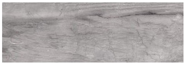 Керамическая плитка Ceramika Konskie Terra White Grey Rett 55490, цвет серый, поверхность матовая, прямоугольник, 250x750