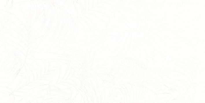 Керамическая плитка Нефрит керамика Фёрнс 00-00-5-18-00-00-1600, цвет белый, поверхность глянцевая, прямоугольник, 300x600