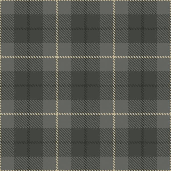 Керамогранит Ornamenta Tartan Grey TN6060G, цвет серый, поверхность матовая, квадрат, 600x600