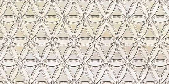 Декоративные элементы Нефрит керамика Салерно 04-01-1-10-03-11-503-1, цвет бежевый, поверхность глянцевая, прямоугольник, 250x500