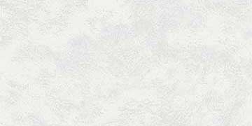 Керамогранит Emigres Pav. Riga White, цвет белый, поверхность лаппатированная, прямоугольник, 300x600