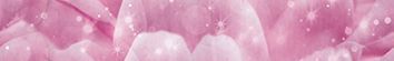 Бордюры Муза-Керамика Fairy tale B300D251, цвет розовый, поверхность глянцевая, прямоугольник, 45x300