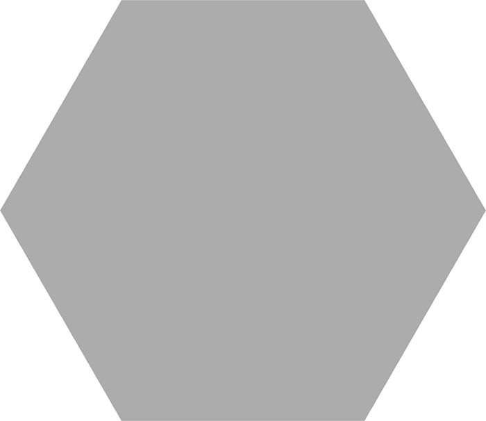 Керамогранит Codicer Basic Hex 25 Silver, цвет серый, поверхность матовая, прямоугольник, 250x220