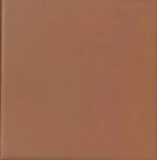 Керамогранит Topcer Field Material Square L4404, цвет коричневый, поверхность матовая, квадрат, 100x100