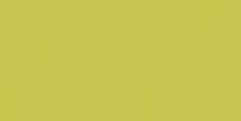 Керамическая плитка Rako Color One WAAMB454, цвет зелёный, поверхность глянцевая, прямоугольник, 200x400