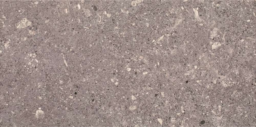 Керамическая плитка Paradyz Aragorn Grys 53946, цвет серый, поверхность матовая рельефная, прямоугольник, 300x600