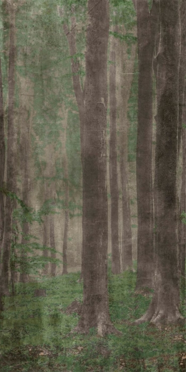Декоративные элементы ABK Wide & Style Woods A PF60009507, цвет коричневый зелёный, поверхность матовая, прямоугольник, 1200x2800